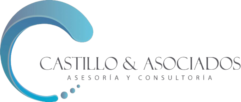 CASTILLO ASOCIADOS CONSULTING